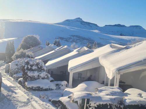 Commercial Property for Sale in Elliot Eastern Cape